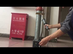 হলিডে ডিটেক্টর